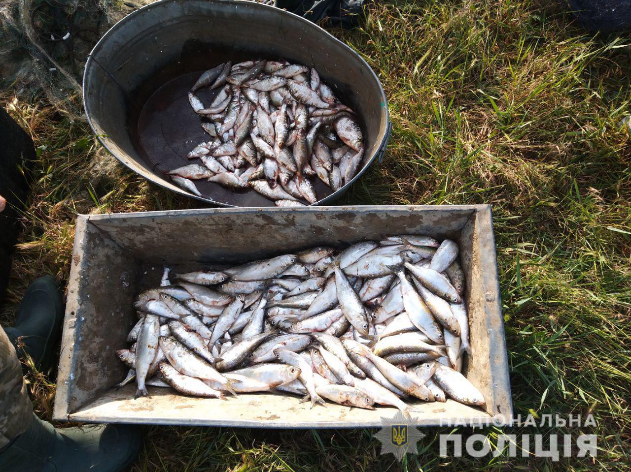На Южном Буге браконьер наловил рыбы на 40 тыс.грн. (ФОТО)