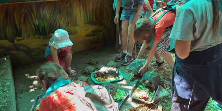 В Николаевском зоопарке отпраздновали Всемирный день черепахи (ФОТО)