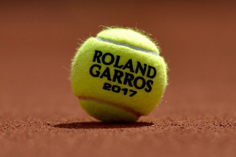 На Roland Garros теннисистка не смогла завершить розыгрыш из-за атаковавших её голубей 1