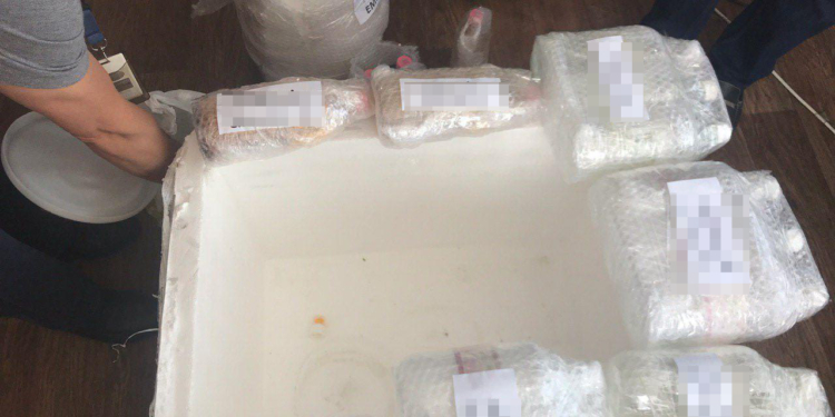 В «Борисполе» перехватили контрабандные героин, амфетамин и гашиш, следовавшие транзитом из Ирана в Канаду, на 1 млн.долларов (ФОТО)