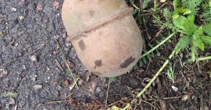 Пиротехники уничтожили мину и гранату, обнаруженные в Николаевской области (ФОТО)