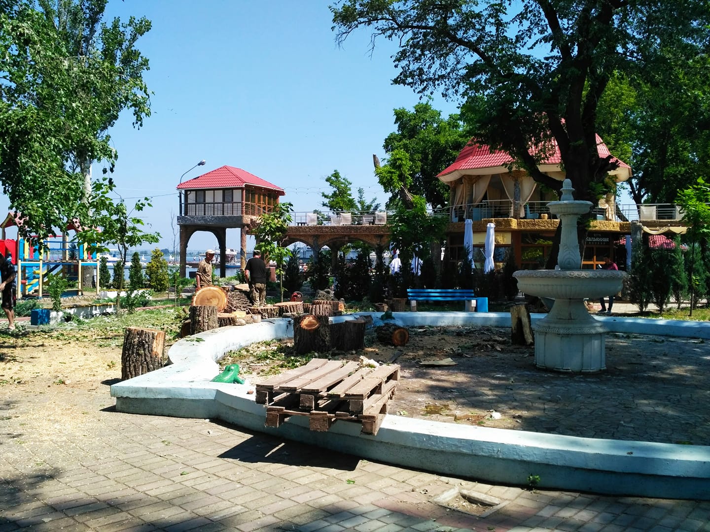 В Николаевском яхт-клубе спилили огромный тополь, на очереди – его соседи  (ФОТО, ВИДЕО)