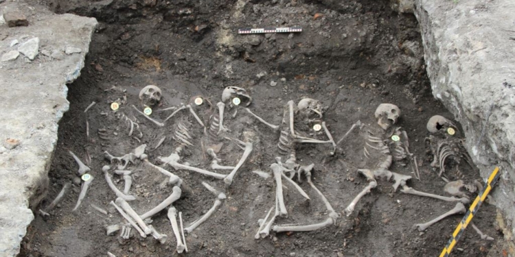 В Ровенской области нашли 19 останков жертв захоронения НКВД (ФОТО)