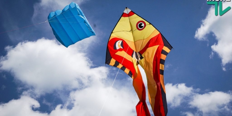 Большой пикник в Трихатах: на Николаевщине проходит международный кайт-фест (ФОТО)