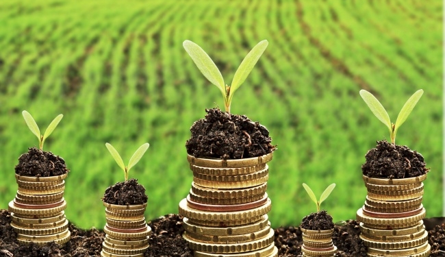 ТОП-10 латифундистов-депутатов  Николаевского областного совета