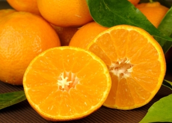 Ученые назвали главный симптом нехватки витамина С