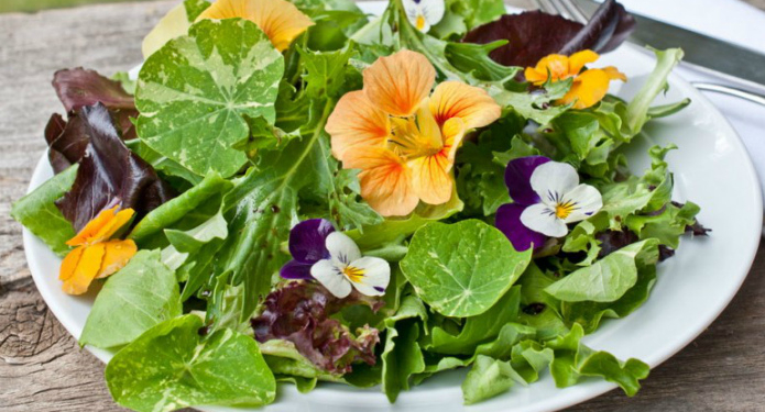 Килограмм сирени – $25. В мире ширится мода на съедобные цветы