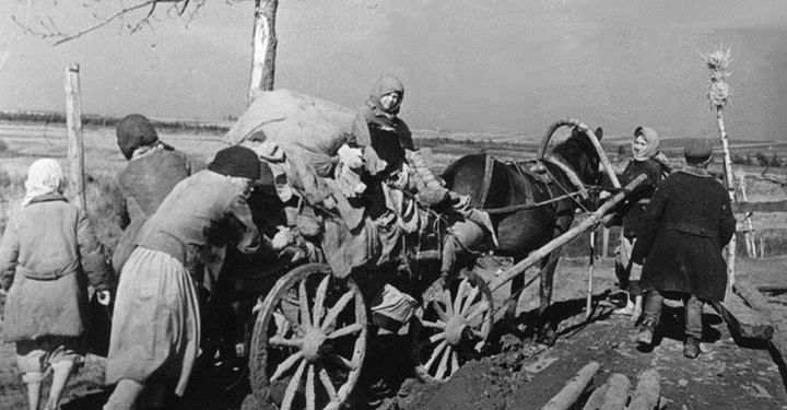 Лучшее в соцсетях. “У моей памяти о войне женский голос”, – Наталья Абаканович