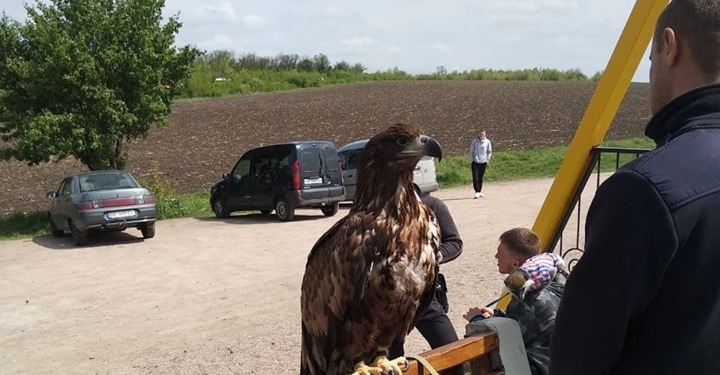 В нацпарке “Бугский гард” на Николаевщине пытаются изъять у горе-бизнесменов краснокнижного орлана (ФОТО)
