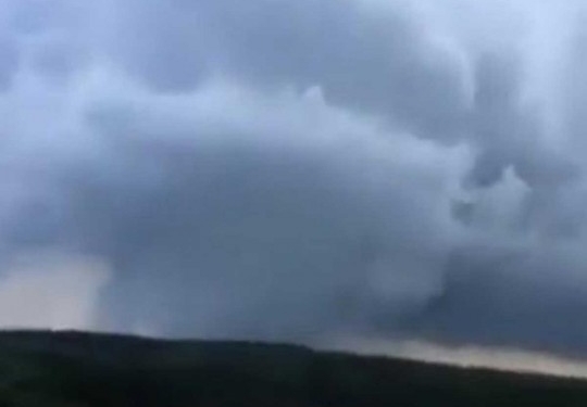 Торнадо становятся регулярными: мощный  смерч под Черновцами  вырывал с корнями  деревья (ВИДЕО)