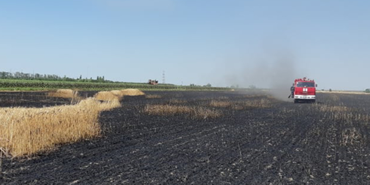 На Николаевщине выгорело 23 га открытой территории, в том числе 10 га ячменя
