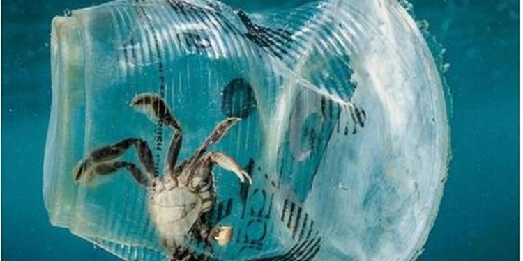 Саммит G20 в Японии: лидеры стран хотят договориться о полном прекращении выброса пластика в океан к 2050 году