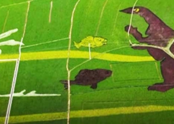 Как китайцы из рисового поля сделали туристический объект (ВИДЕО)