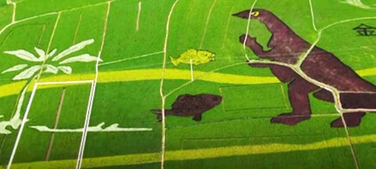 Как китайцы из рисового поля сделали туристический объект (ВИДЕО)