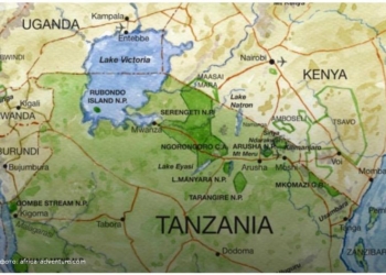 Следующий налог – налог на украшения? В Танзании ввели налоги на парики и наращивание волос