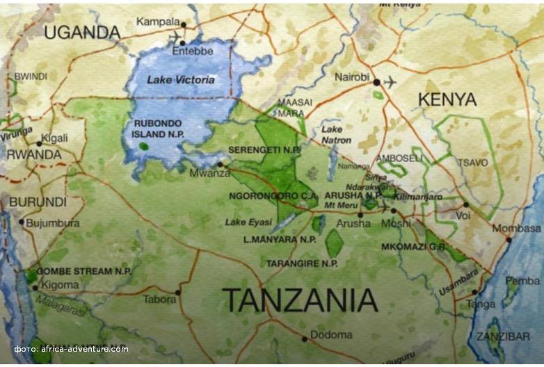 Следующий налог – налог на украшения? В Танзании ввели налоги на парики и наращивание волос 1