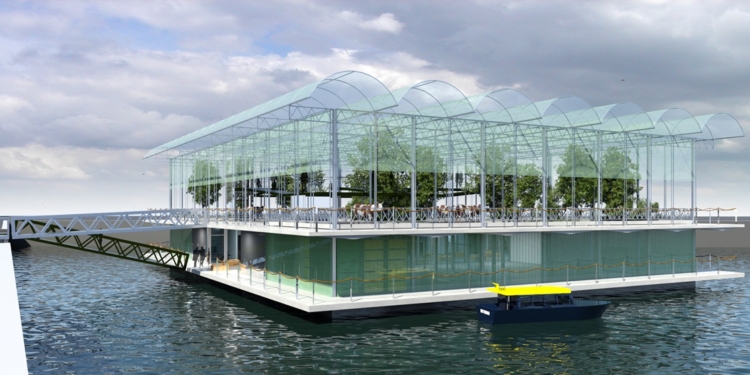 Морской бриз коровам полезен. В Нидерландах открыли первую молочную ферму на воде