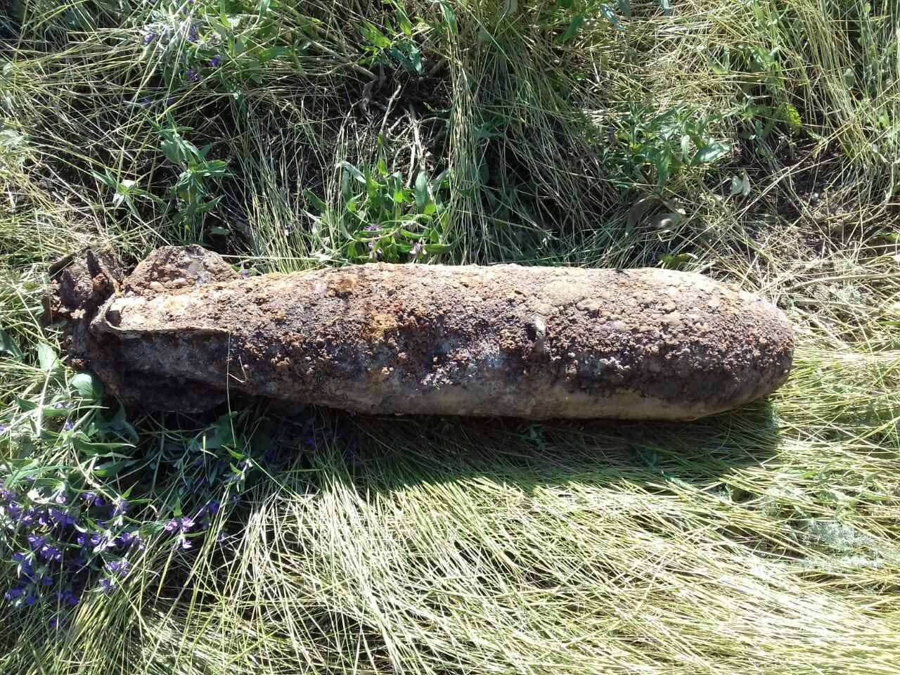 На Николаевщине обезвредили авиабомбу (ФОТО)