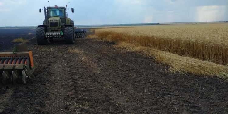 На Николаевщине опять горело поле с пшеницей – сколько сгорело, еще не посчитали (ФОТО)