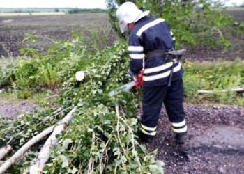 Вчера на Николаевщине ветер и дождь валили деревья (ФОТО)