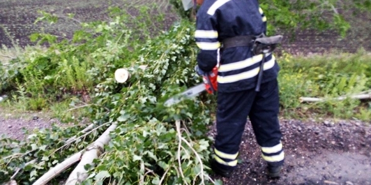 Вчера на Николаевщине ветер и дождь валили деревья (ФОТО)