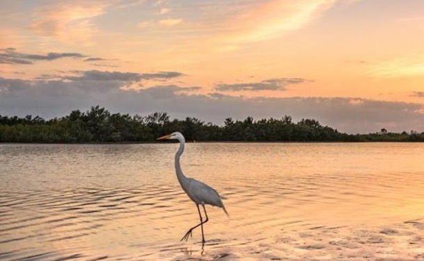 Ученые предсказали появление гигантской мертвой зоны в океане