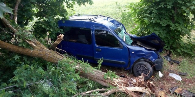 ДТП в Березанском районе: легковушка слетела в кювет – водитель погиб, пассажирку госпитализировали (ФОТО)