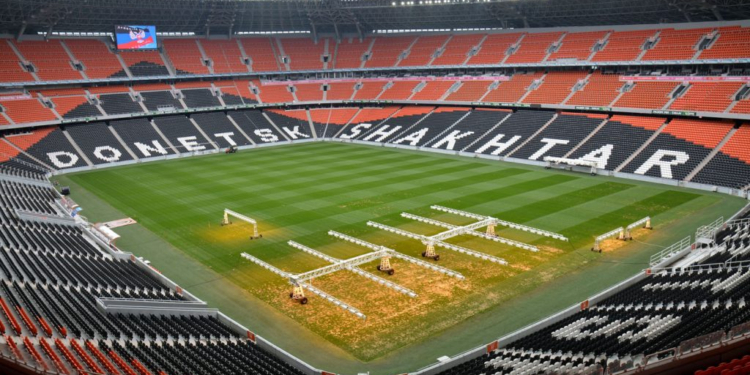 «Норы роют, на солнышке греются»: на захваченной боевиками «Донбасс Арене» поселились лисы (ФОТО)