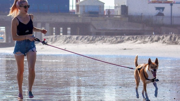 Как летом подработать в Украине: на траве и кошках