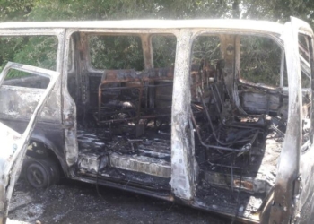 На Николаевщине сгорел микроавтобус Ford Transit