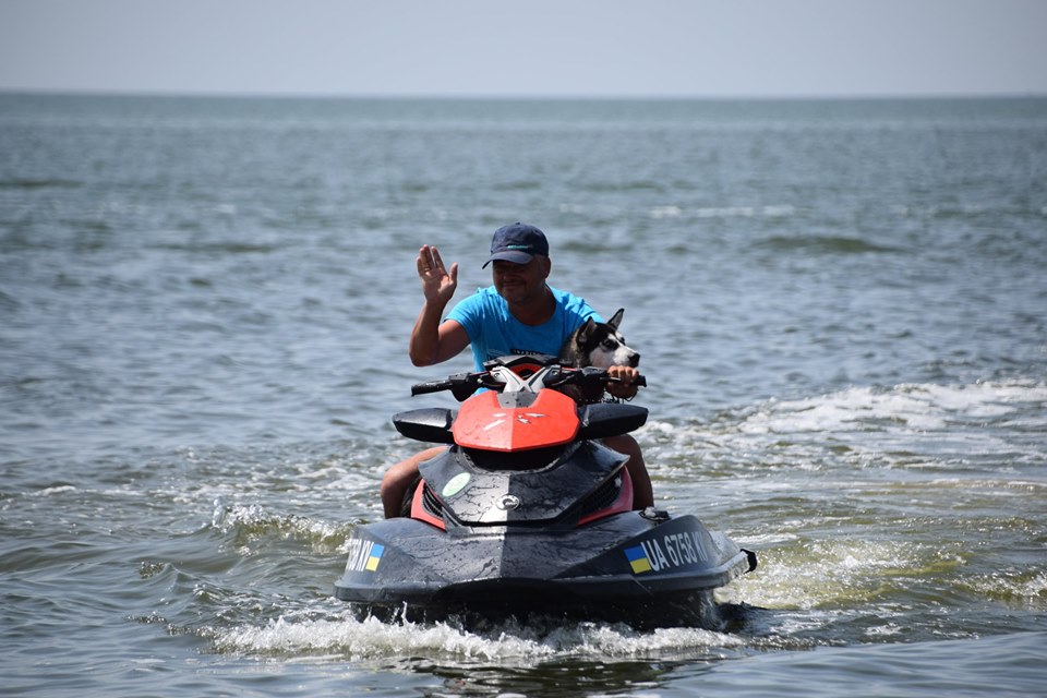 В Рыбаковке спасатель учит щенка хаски ходить с ним в море на водном мотоцикле (ВИДЕО) 1