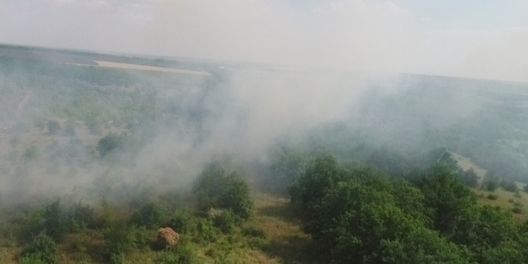 Горим! Неосторожность и умышленный поджог – причины масштабных пожаров на Николаевщине (ФОТО)