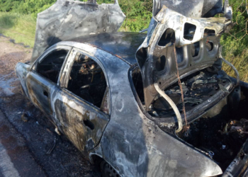 На Николаевщине спасателям снова пришлось тушить автомобили и ликвидировать пожар на АЗС (ФОТО)