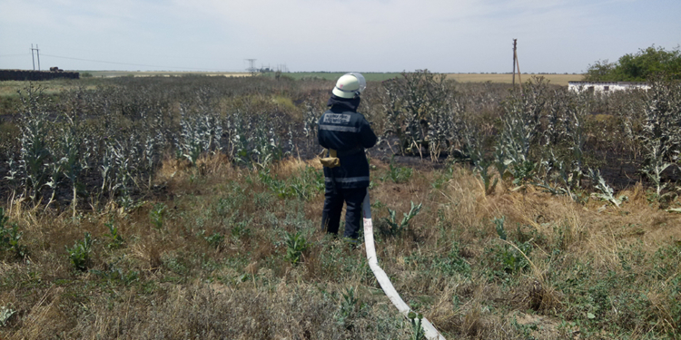 За сутки на Николаевщине горела трава на 3,5 гектаров (ФОТО)