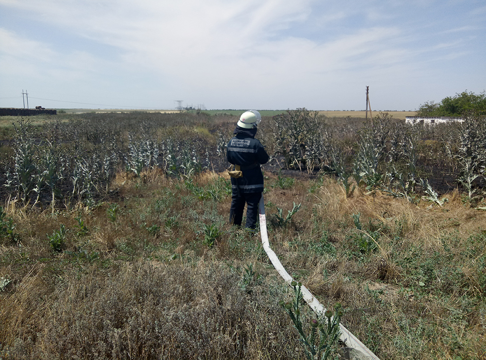 За сутки на Николаевщине горела трава на 3,5 гектаров (ФОТО) 11