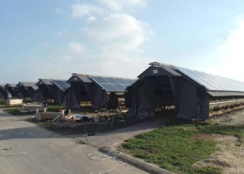 В Украине норковую ферму превратили в солнечную электростанцию. Довольны все – и норки тоже