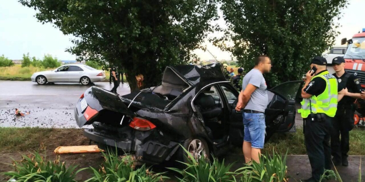 В Корабельном районе KIA врезался в дерево. Погиб пассажир, еще два человек в больнице