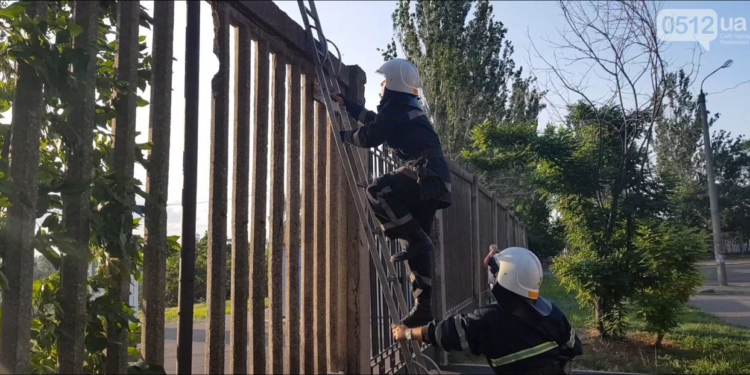 На Центральном городском стадионе пожар – горит сухая трава (ФОТО)
