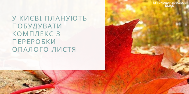 В Киеве построят первый в Украине комплекс по переработке опавших листьев