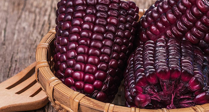 Украинский селекционер вывел новый сорт сладкой и полезной кукурузы – фиолетовый (ФОТО)