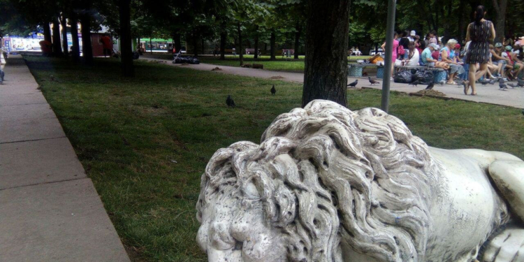 «Аккуратно и бережно»: газон с Соборной площади стелют в Каштановом сквере (ФОТО)