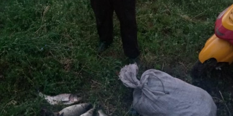 Николаевский рыбоохранный патруль выявил очередного браконьера, сетью добывшего 5 кг рыбы (ФОТО)