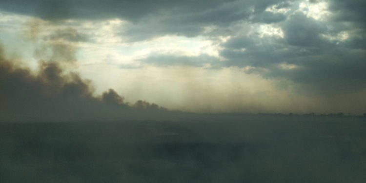 На Николаевщине выгорело почти 19 га открытой территории (ФОТО)