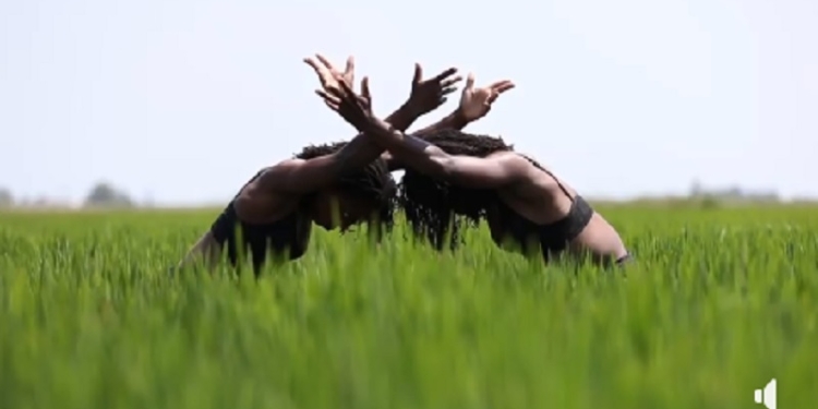 Танцевальный фестиваль Deltebre Dansa собрал танцоров в одной из самых пострадавших от пожаров зон Каталонии (ВИДЕО)