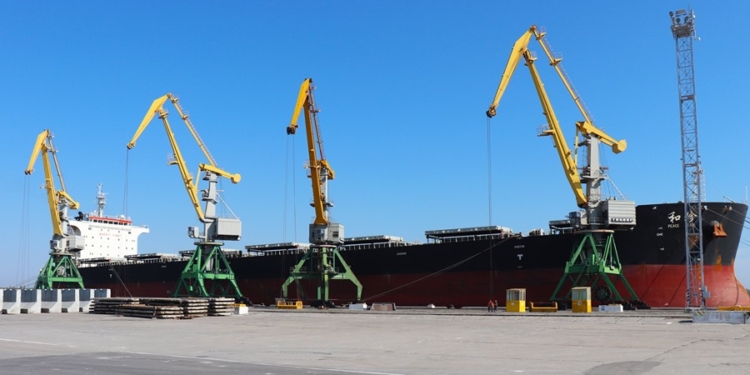 В николаевском спецпорту «Ольвия» пришвартовалось самое большое судно, которое порт принимал в своей акватории с начала года (ФОТО)