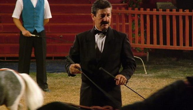 В Италии тигры убили всемирно известного дрессировщика (ВИДЕО)