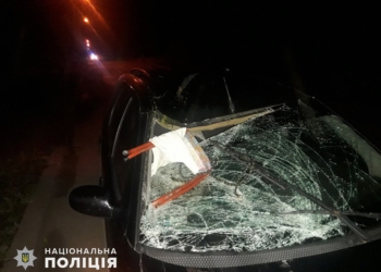 В Вознесенске ночью машина насмерть сбила 66-летнюю велосипедистку