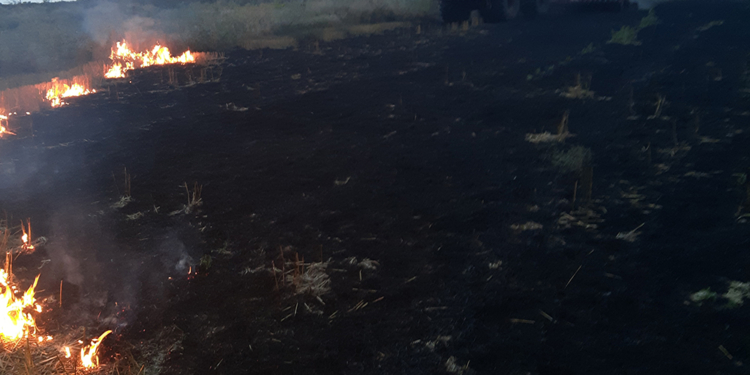 На Николаевщине спасатели опять тушили пожары на открытых территориях – сгорело 6,7 га (ФОТО)