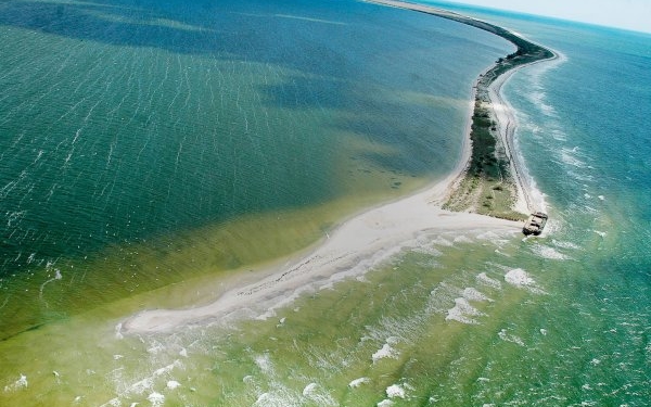 ГБР проверяет командира гарнизона в Очакове, чьи подчиненные взломали офис ландшафтного парка