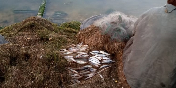 «Рыбачка Соня», выявленная Николаевским рыбоохранным патрулем, браконьерила на Днепро-Бугском лимане (ФОТО)